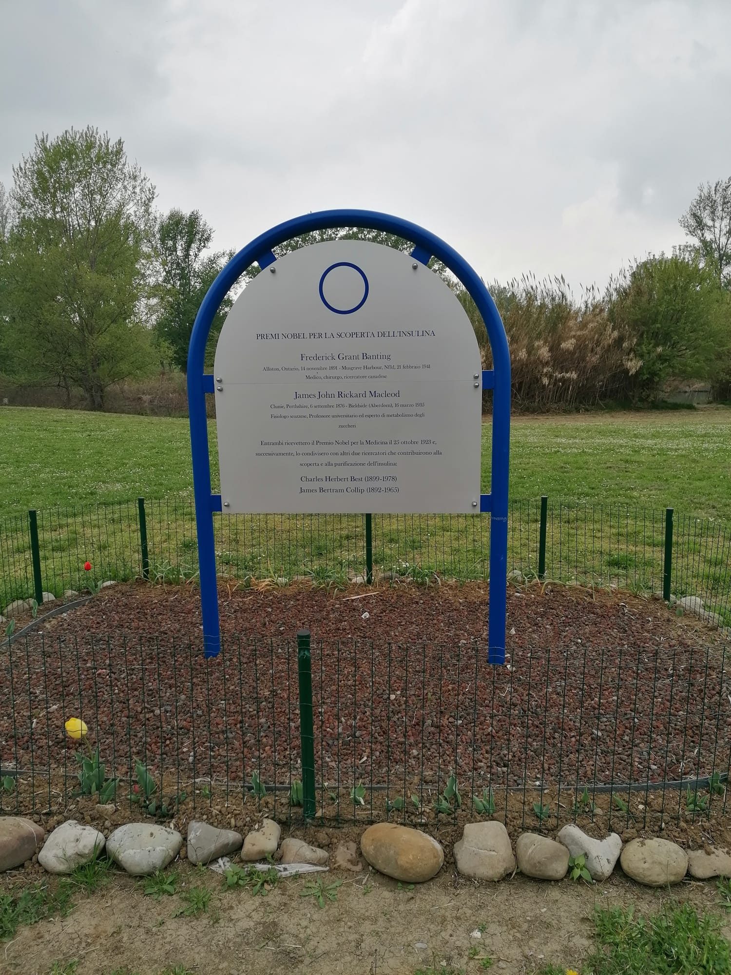 Frederick Banting and John Macleod monument, Bologna (by Antonella Borghi).jpeg